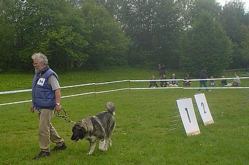 Zuchtgruppensieger 2005