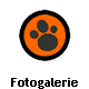 Fotogalerie