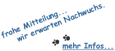 Eine frohe Mitteilung: Wir erwarten Welpen! :-) 