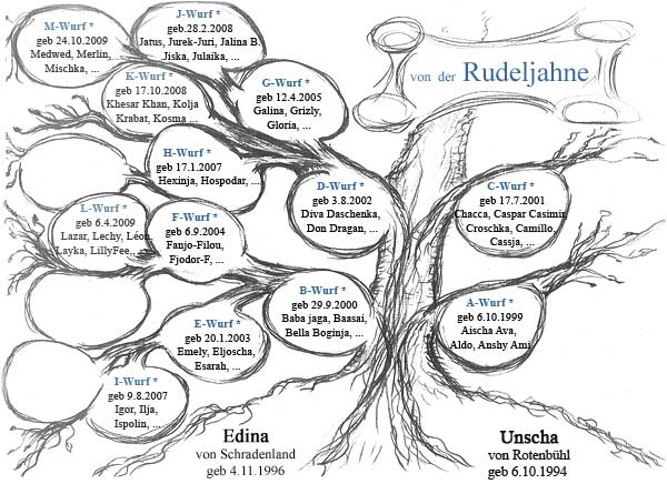 Der Stammbaum von der Rudeljahne